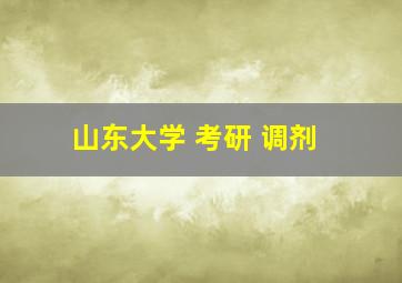 山东大学 考研 调剂